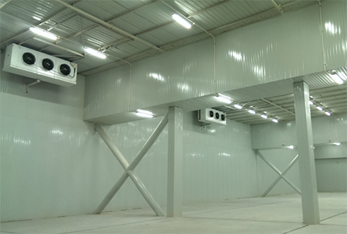 速凍冷庫設(shè)計注意事項及其具備功能有哪些？