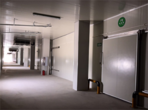 建造200噸的肉類冷鏈冷凍庫(kù)如何做好規(guī)劃設(shè)計(jì)？