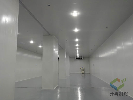 建設醫藥包裝自動化冷庫安裝，自動化冷藏庫有哪些優點？