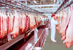 天貓超市電商冷庫建造、運營