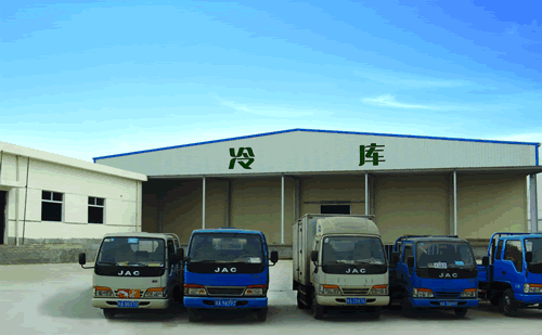 大型冷鏈物流冷藏車(chē)，果蔬冷庫(kù)安裝設(shè)計(jì)·