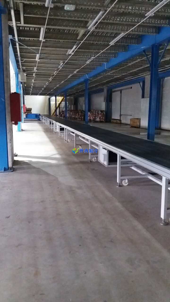 冷凍肉類冷庫設計方案報價，一套凍肉低溫庫多少錢