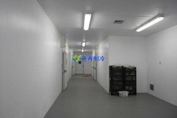定制酒店冷凍庫、食堂雙溫庫、餐飲冷藏庫工程造價